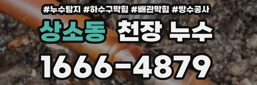 상소동 천장 누수