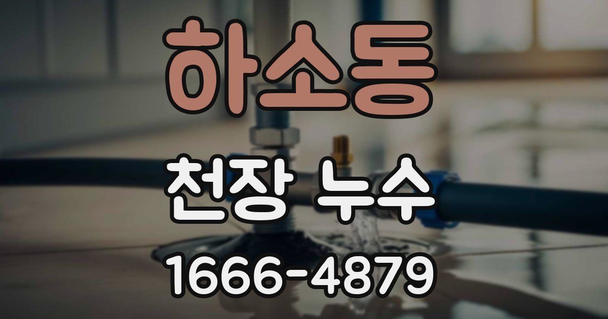 하소동 천장 누수