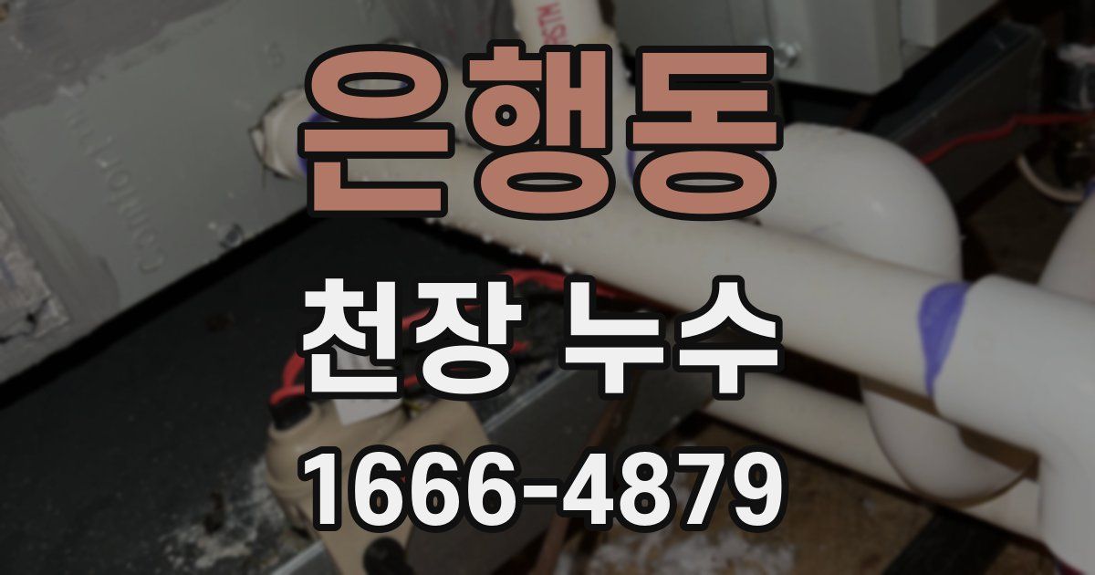 은행동 천장 누수