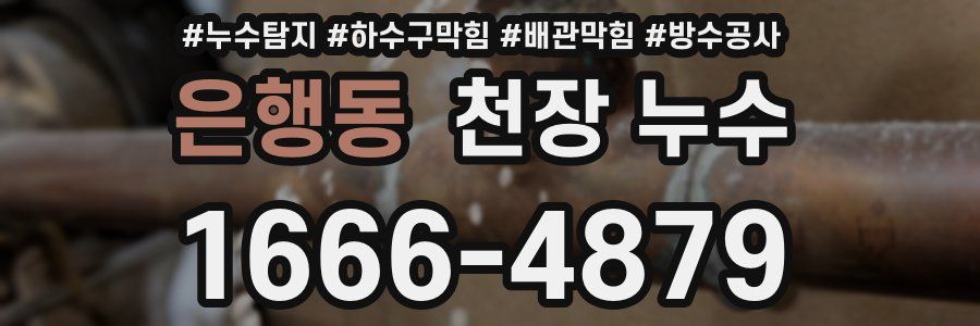 은행동 천장 누수
