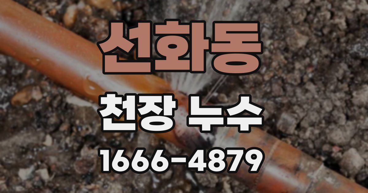 선화동 천장 누수