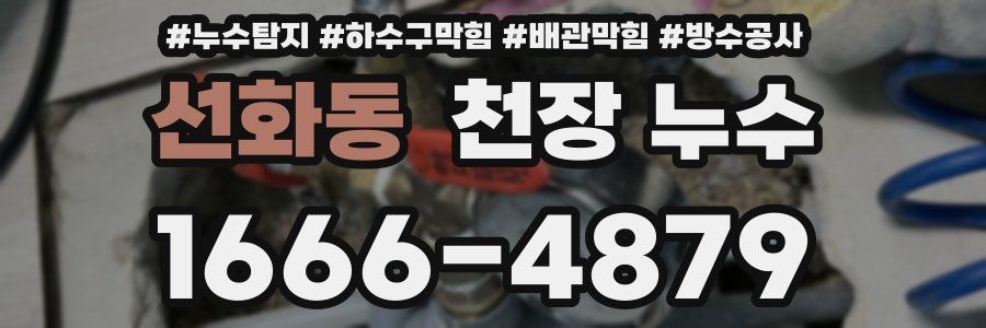 선화동 천장 누수