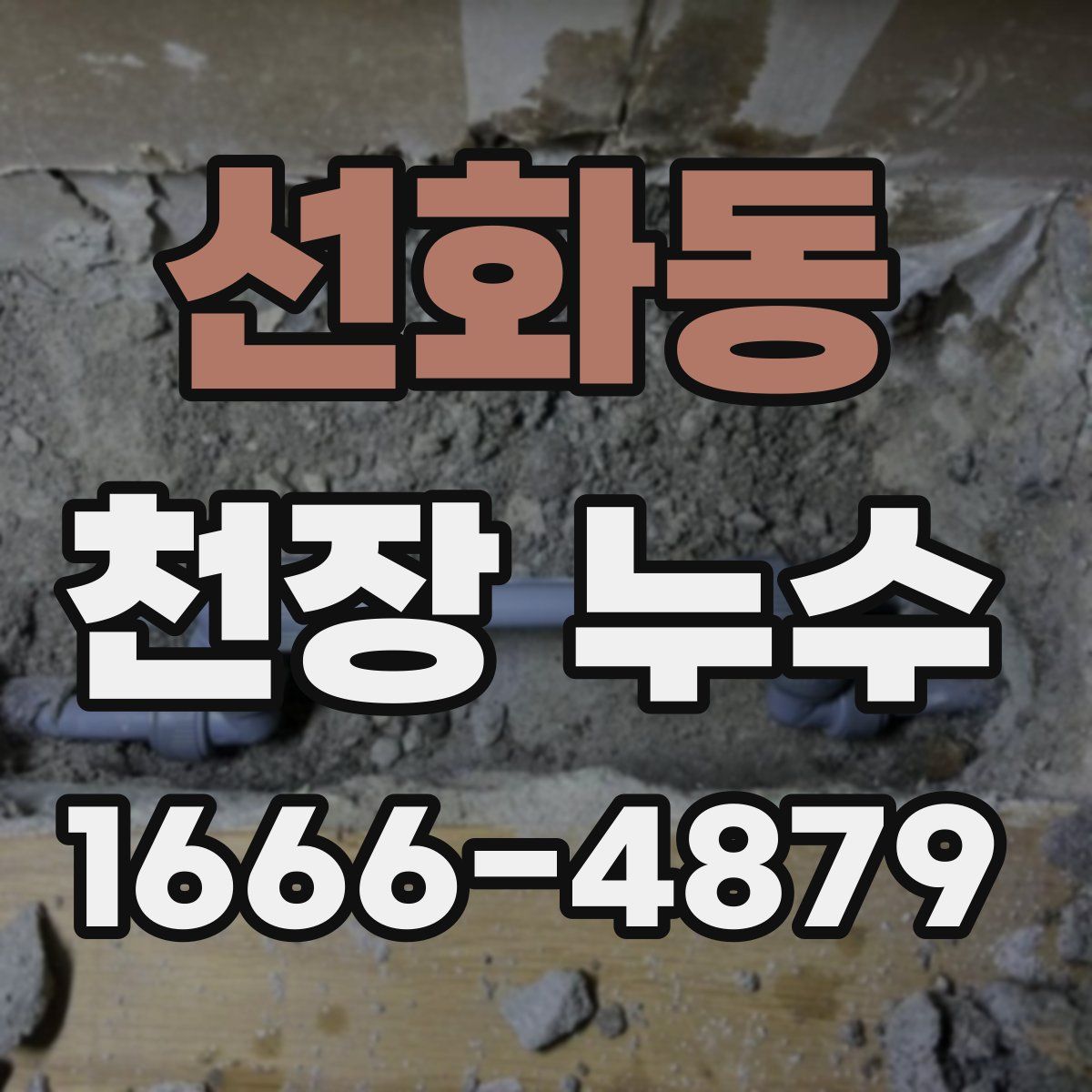 선화동 천장 누수