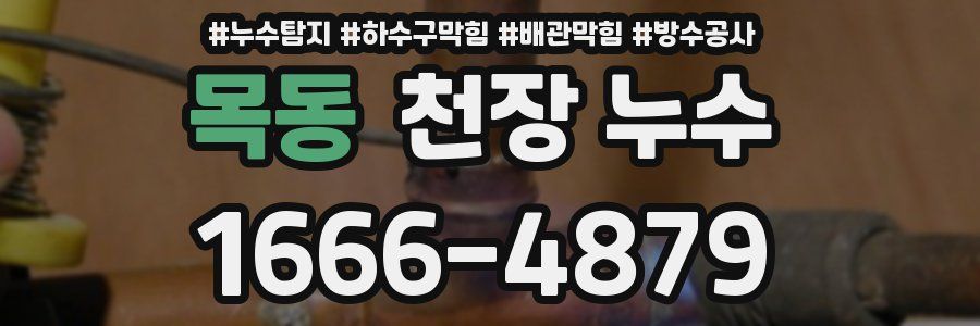 목동 천장 누수