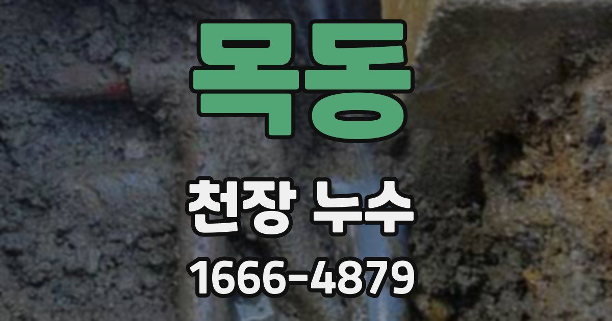 목동 천장 누수