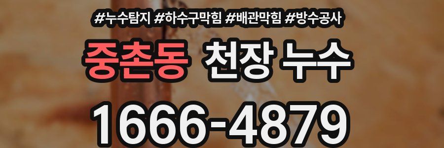 중촌동 천장 누수