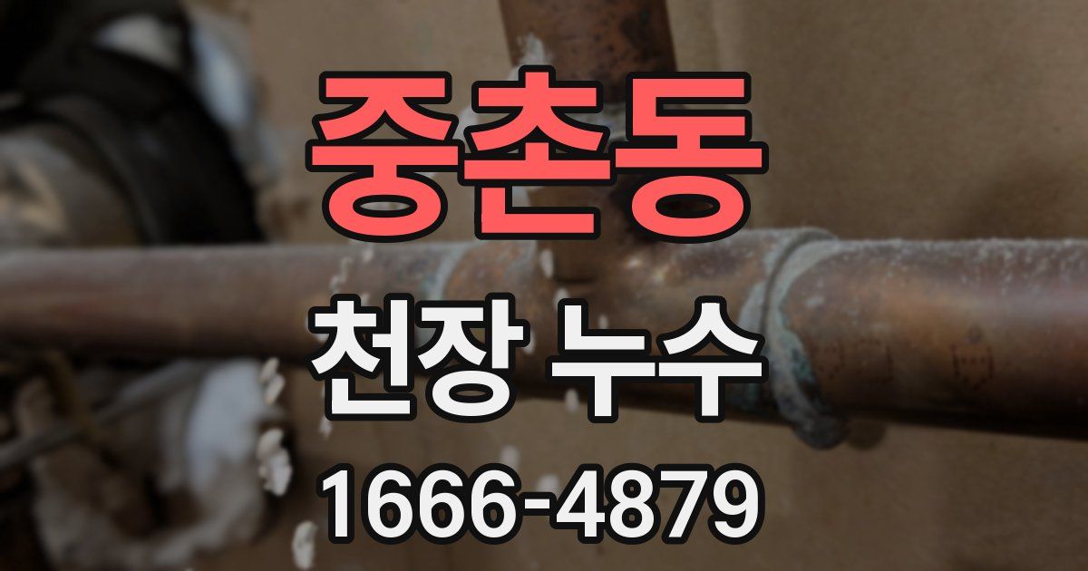 중촌동 천장 누수