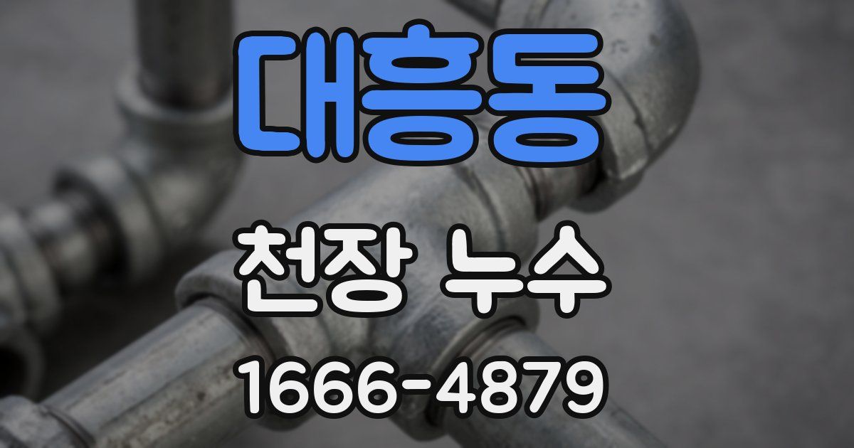 대흥동 천장 누수