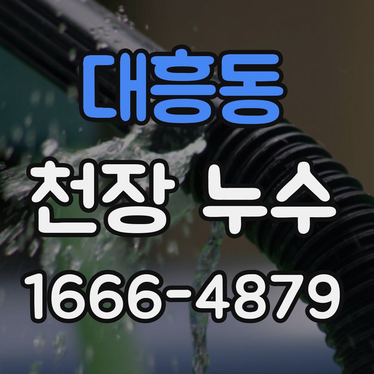 대흥동 천장 누수
