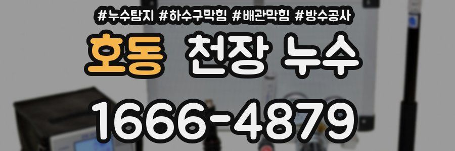 호동 천장 누수