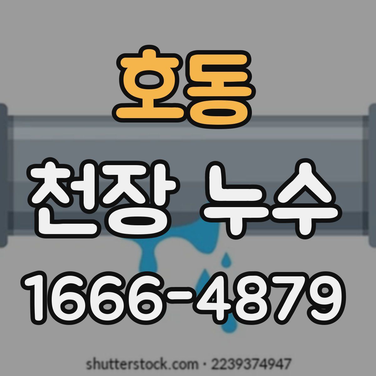호동 천장 누수