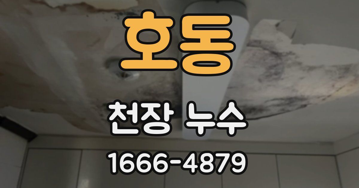 호동 천장 누수