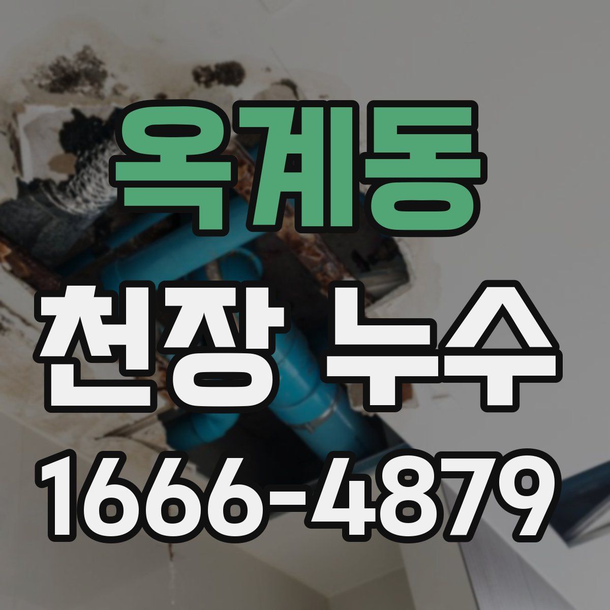 옥계동 천장 누수
