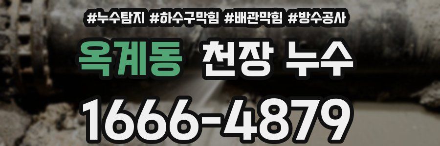 옥계동 천장 누수