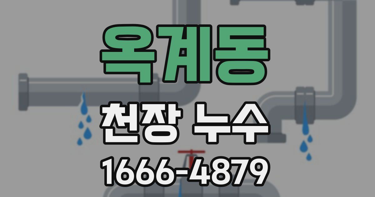 옥계동 천장 누수