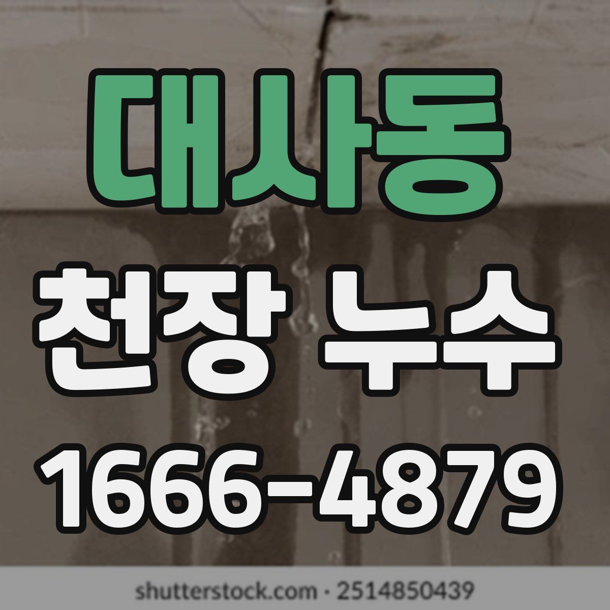 대사동 천장 누수