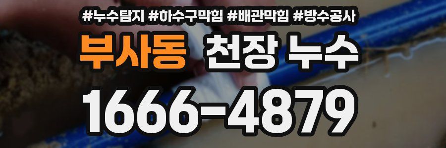 부사동 천장 누수