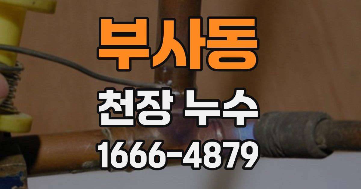 부사동 천장 누수