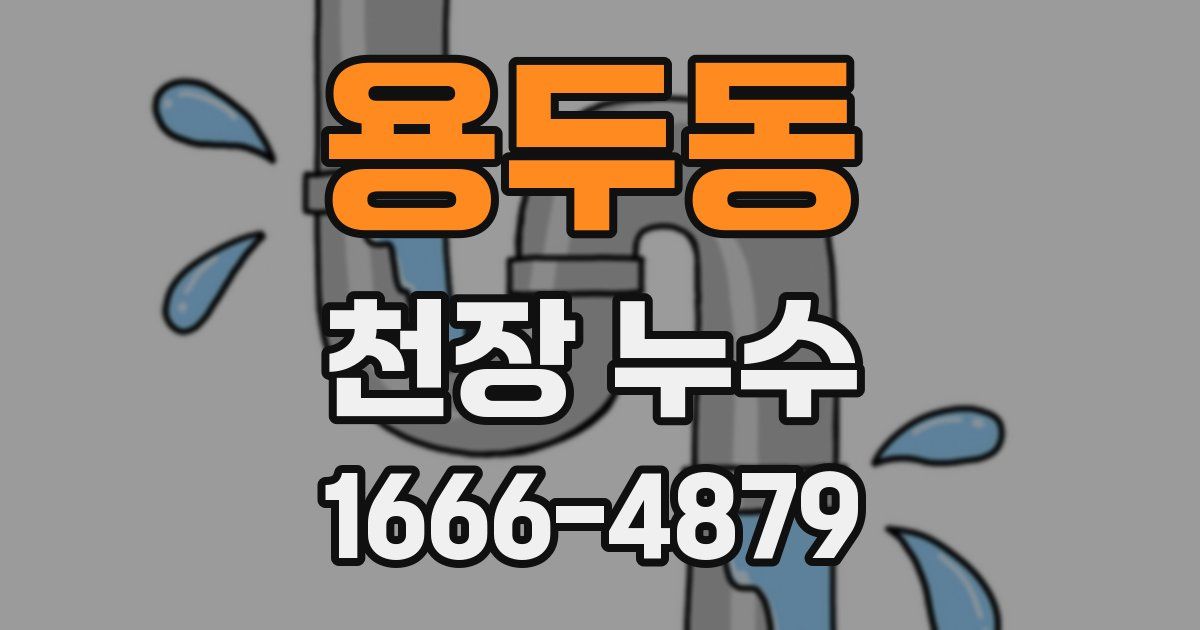 용두동 천장 누수