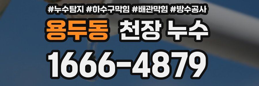 용두동 천장 누수
