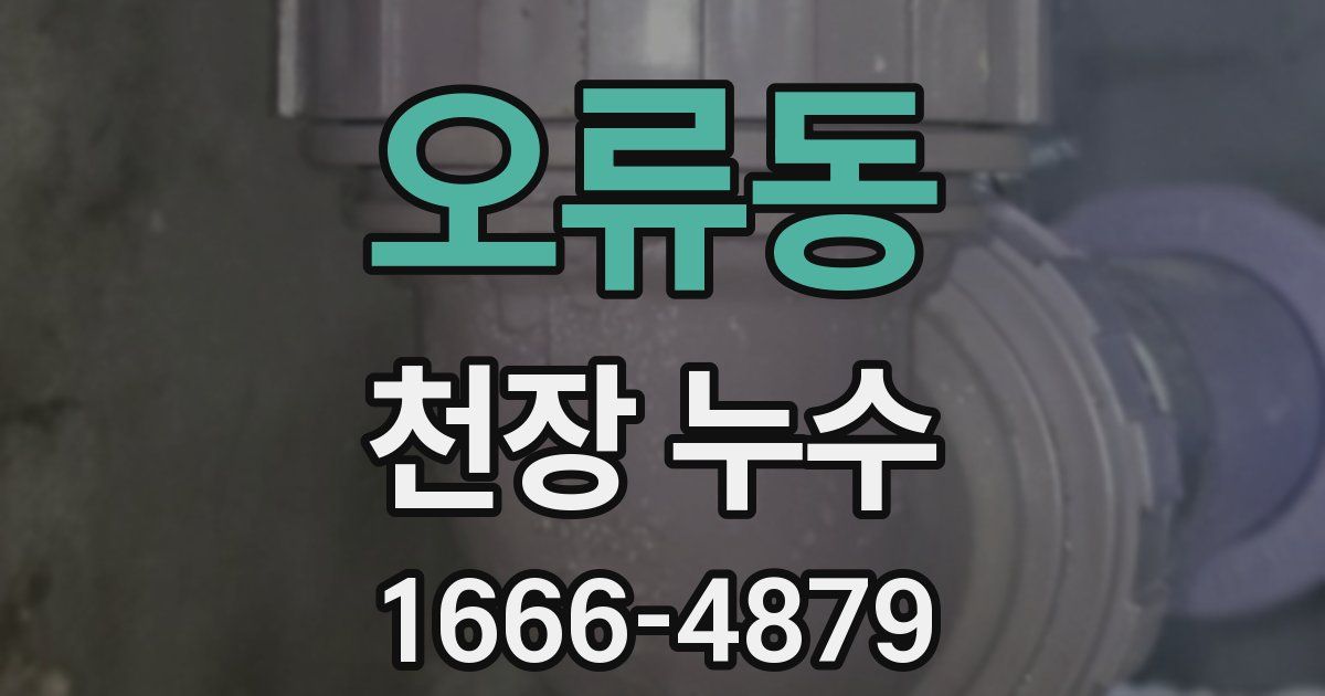 오류동 천장 누수