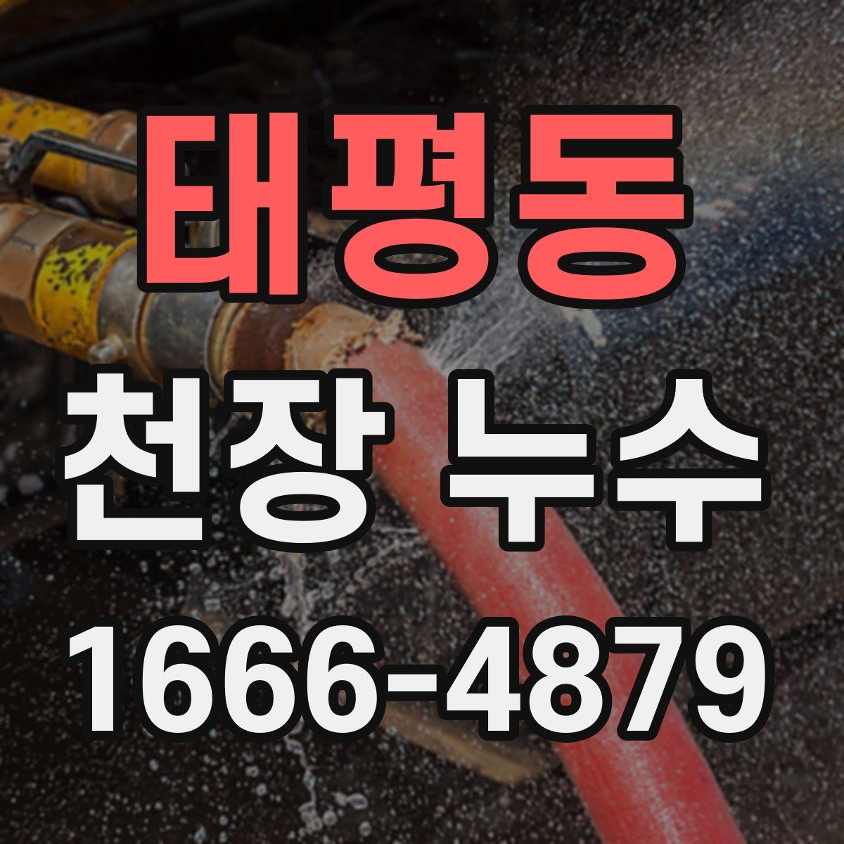 태평동 천장 누수
