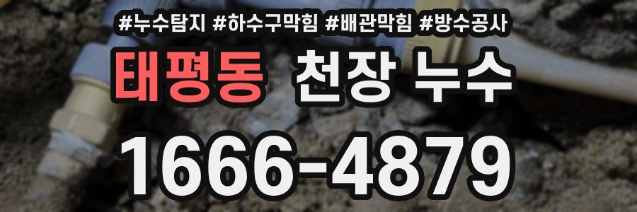 태평동 천장 누수