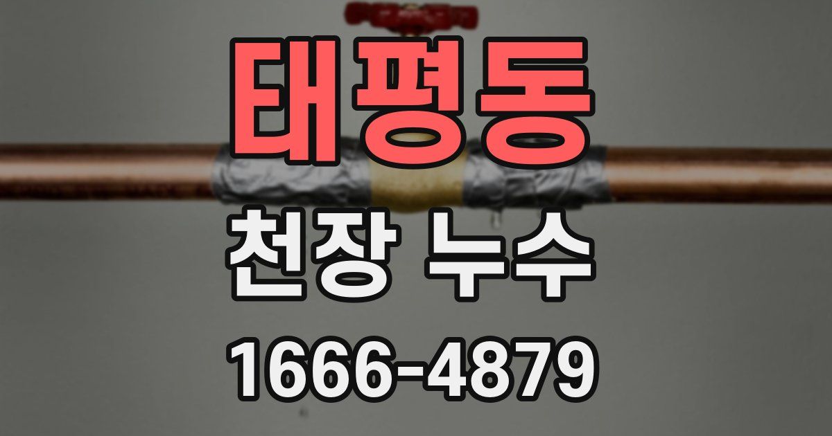 태평동 천장 누수