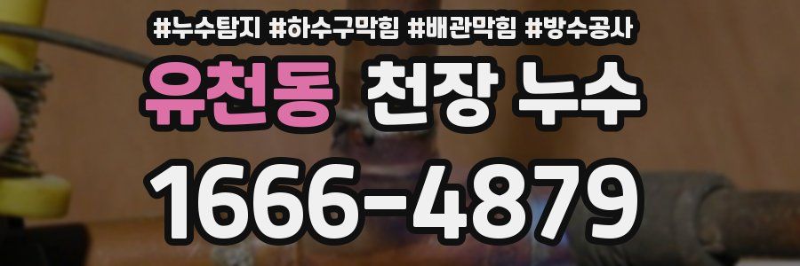 유천동 천장 누수