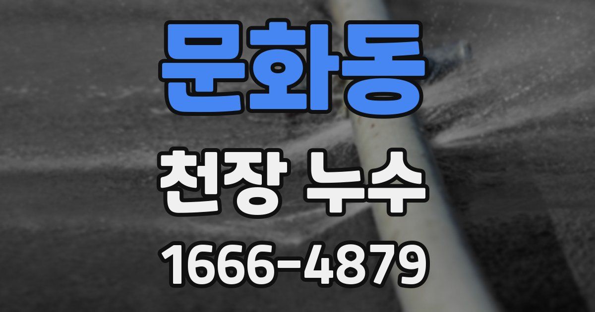 문화동 천장 누수