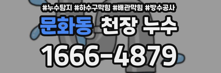 문화동 천장 누수