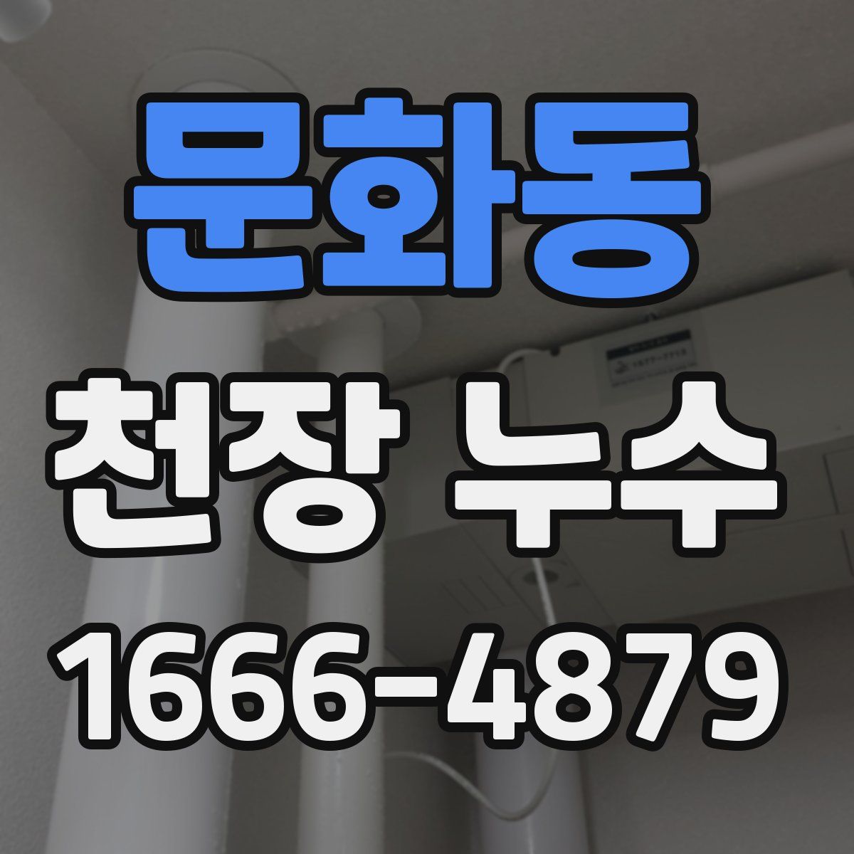 문화동 천장 누수