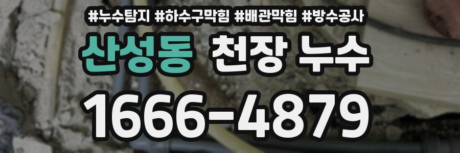 산성동 천장 누수