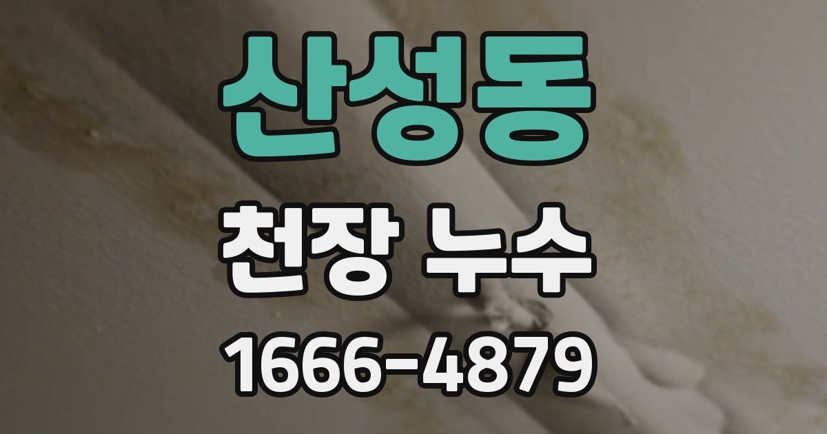 산성동 천장 누수