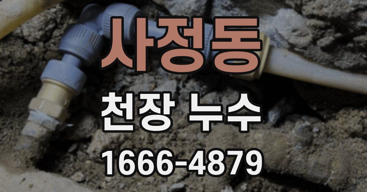 사정동 천장 누수