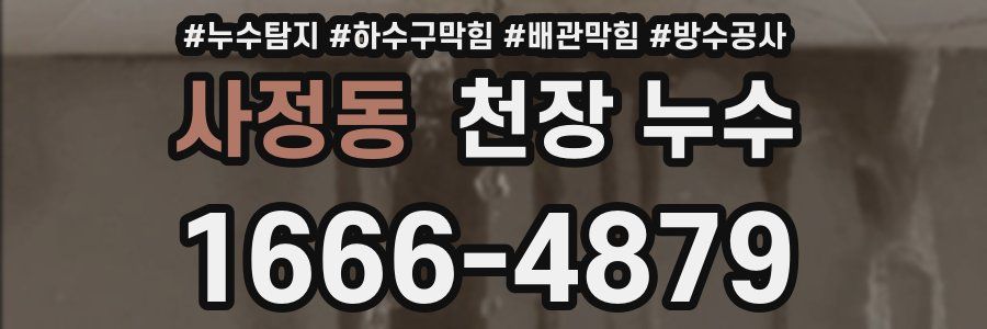 사정동 천장 누수