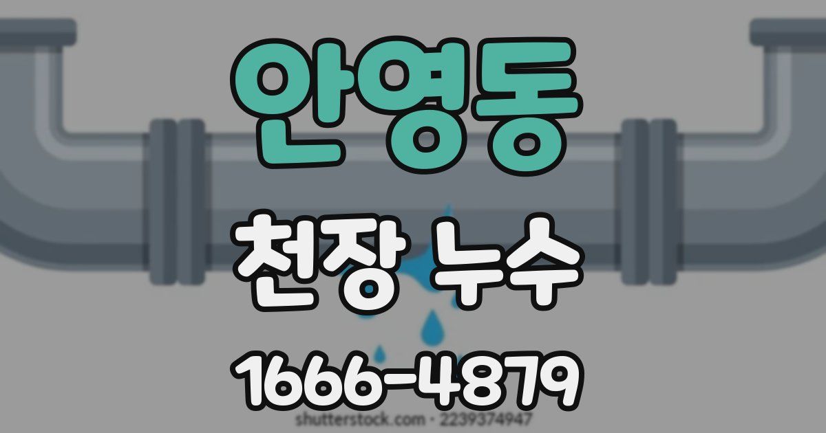 안영동 천장 누수