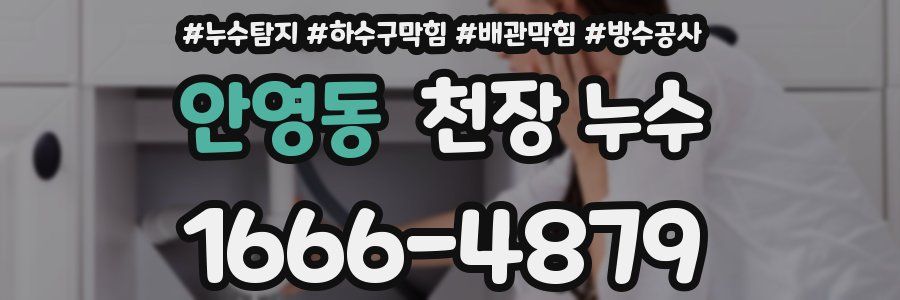 안영동 천장 누수