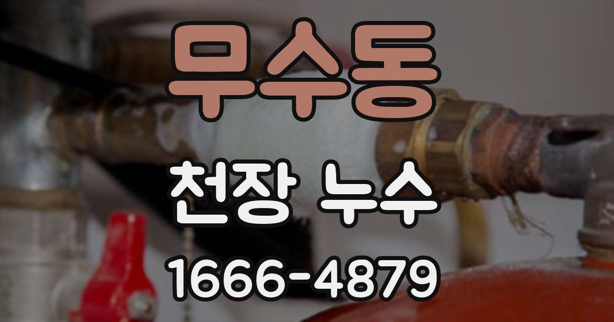 무수동 천장 누수