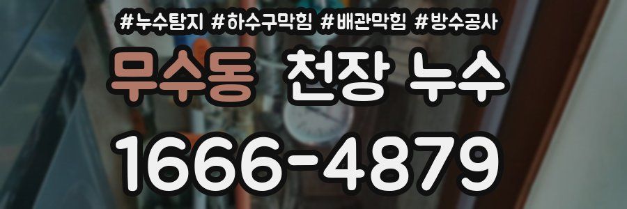 무수동 천장 누수