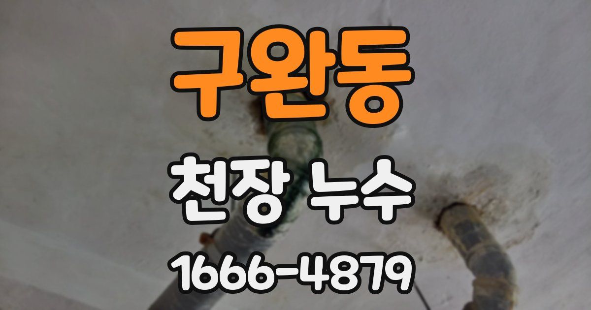구완동 천장 누수