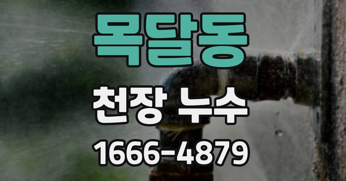 목달동 천장 누수