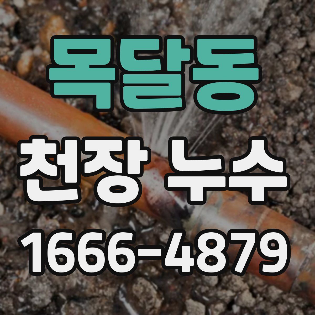 목달동 천장 누수