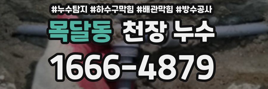 목달동 천장 누수