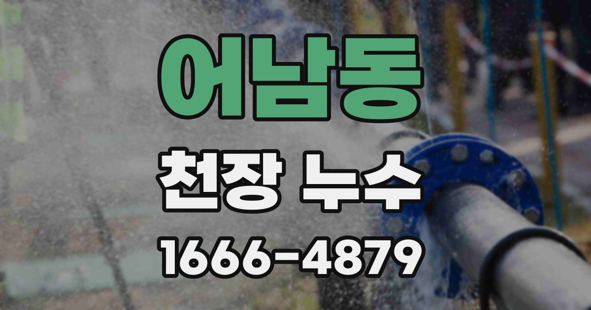 어남동 천장 누수