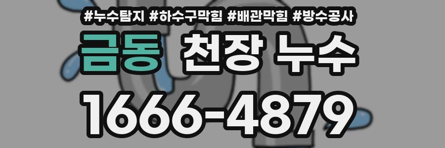 금동 천장 누수