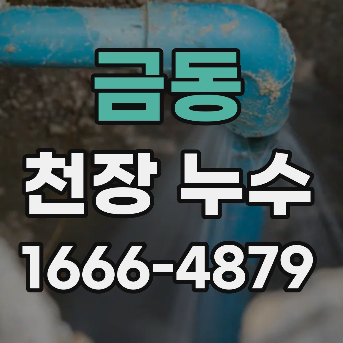 금동 천장 누수