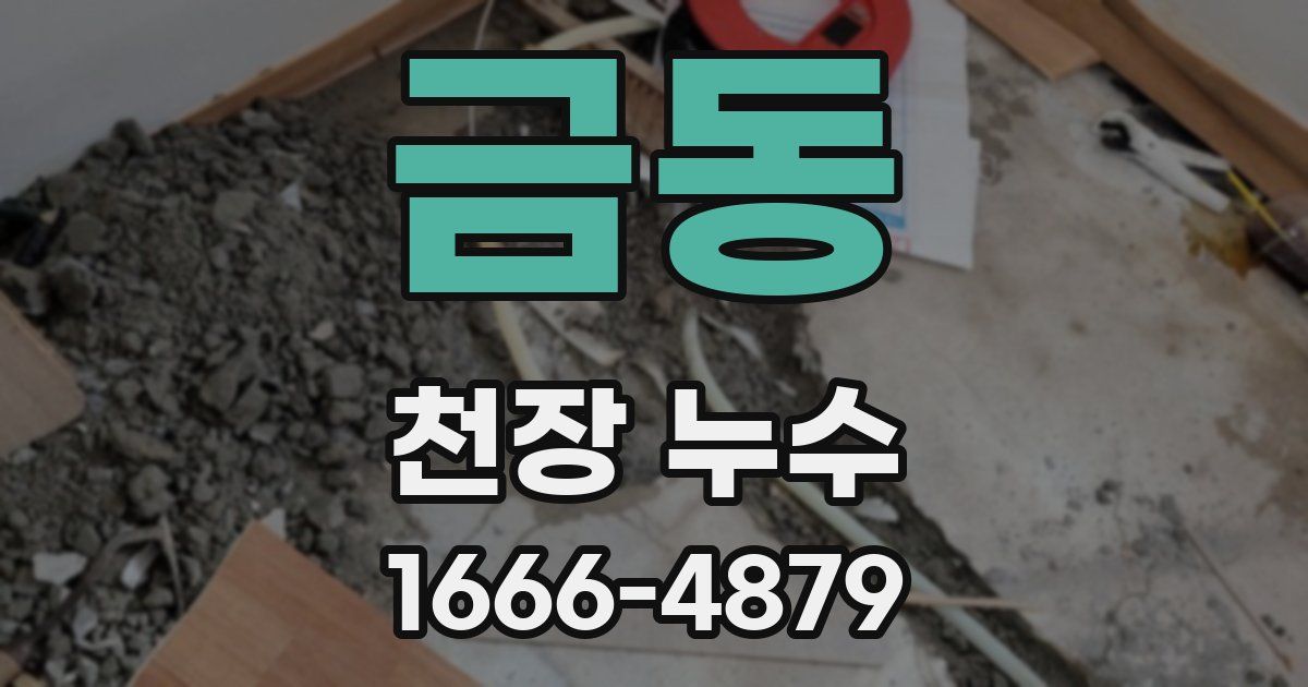 금동 천장 누수