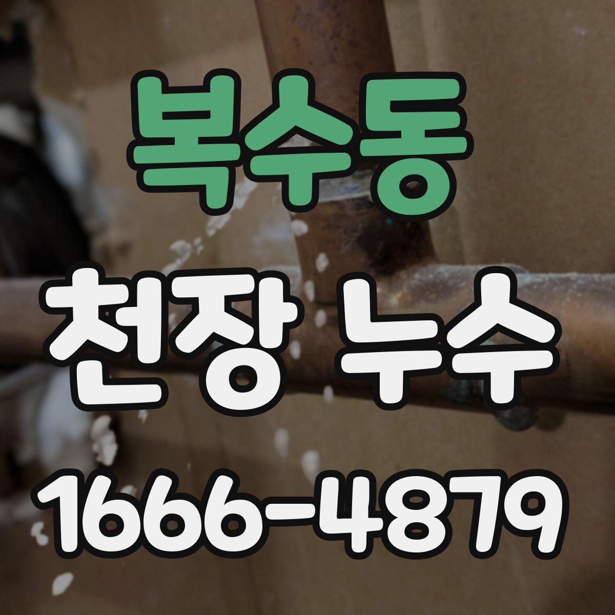 복수동 천장 누수