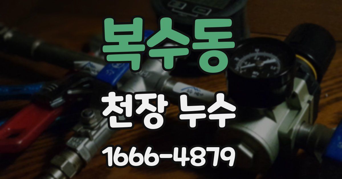 복수동 천장 누수
